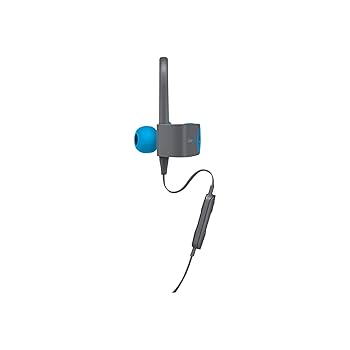 Amazon.com: Beats Powerbeats3 Wireless Earphones - Flash